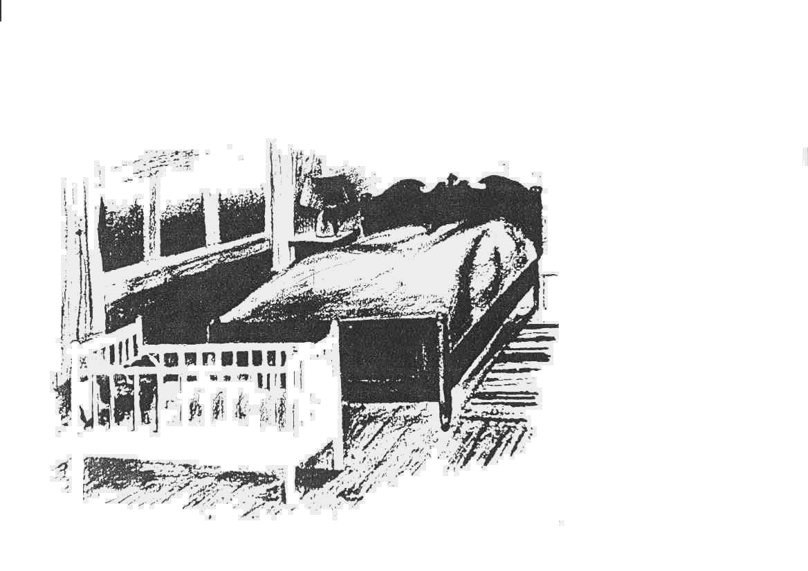 рис 5